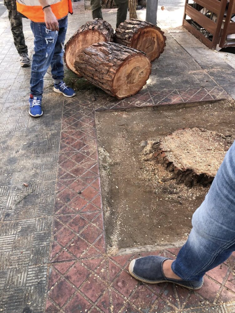 Vittoria, Fare Verde: “Siamo un comune dealberizzato”