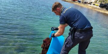 Bracconieri depredano i fondali tra Cava d’Aliga e Sampieri, sequestrati 700 ricci di mare