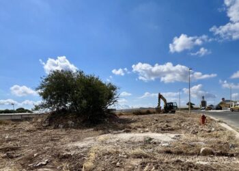 Ragusa e la lotta al randagismo, nuovi interventi alla zona artigianale