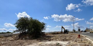 Ragusa e la lotta al randagismo, nuovi interventi alla zona artigianale