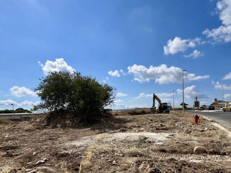 Ragusa e la lotta al randagismo, nuovi interventi alla zona artigianale