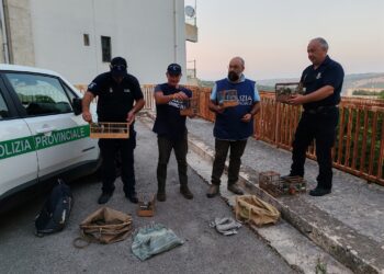 Ragusa, preapertura della caccia: controlli e primi sequestri