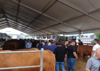 Conclusa la 50esima edizione della Fam, ecco come è andata