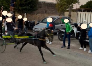 Acate e le corse di cavalli all’alba, l’Oipa: “Rischiamo di tornare all’anno zero”