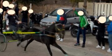 Acate e le corse di cavalli all’alba, l’Oipa: “Rischiamo di tornare all’anno zero”