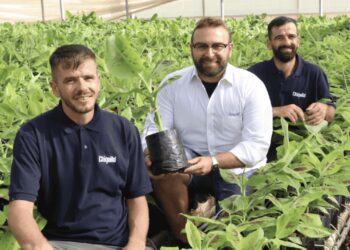 A Marina di Ragusa la prima piantagione in Italia delle banane Chiquita