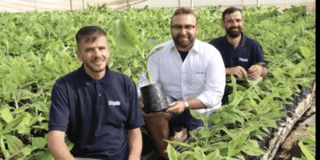 A Marina di Ragusa la prima piantagione in Italia delle banane Chiquita