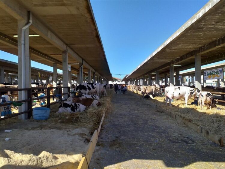 Ragusa, la Fiera agroalimentare mediterranea taglia il traguardo del mezzo secolo di vita