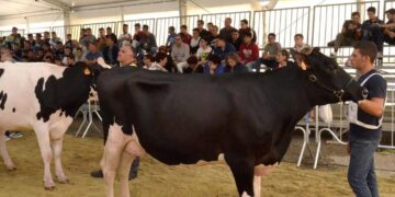 Tre giorni di eventi alla Fam nella nuova area espositiva