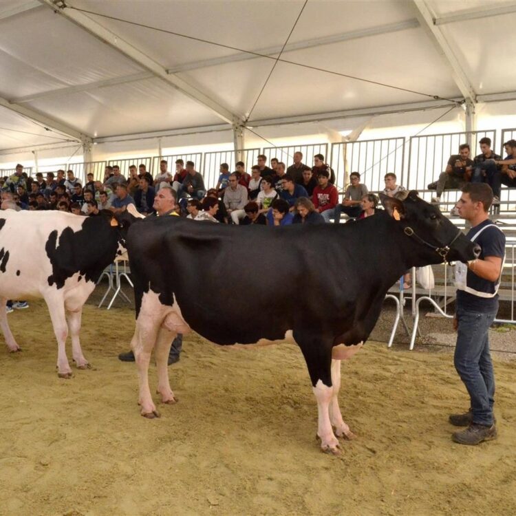 Tre giorni di eventi alla Fam nella nuova area espositiva