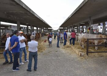 Ragusa, la Fam dà i numeri: si estenderà su una superficie di 24mila metri quadrati