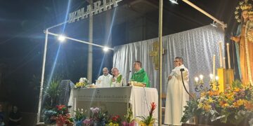 Pedalino, domenica la processione con il simulacro per la festa della Madonna del Rosario