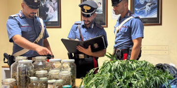 Scoglitti, in casa e al negozio 83 grammi di marijuana: 22enne ai domiciliari