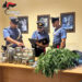Scoglitti, in casa e al negozio 83 grammi di marijuana: 22enne ai domiciliari
