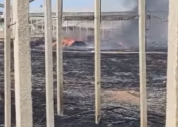 Vittoria, ennesimo incendio di rifiuti agricoli: stavolta in via del Frappato