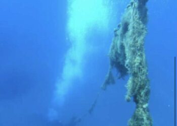 Punta Secca, recuperata rete fantasma