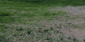 Giallo a Marina di Modica, trovato un giovane privo di vita
