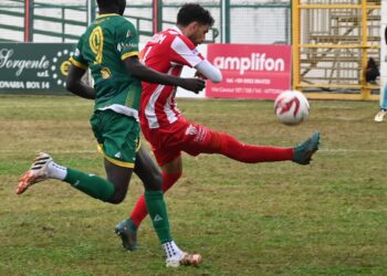 “I giocatori del Vittoria sono razzisti”. “Accuse prive di fondamento, dite falsità”