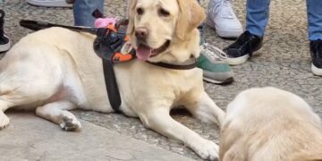 Una delegazione dell’Uici di Ragusa alla XX giornata nazionale del cane guida