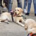 Una delegazione dell’Uici di Ragusa alla XX giornata nazionale del cane guida