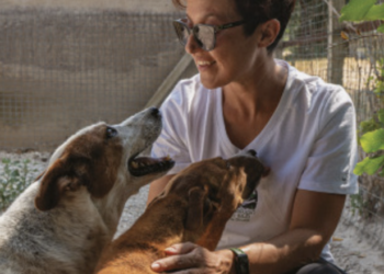 Chiaramonte, sabato una giornata per incentivare l’adozione dei cani