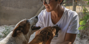 Chiaramonte, sabato una giornata per incentivare l’adozione dei cani