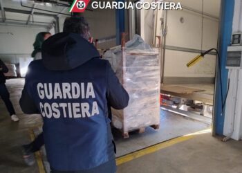 Porto di Pozzallo, sequestrati 250 chili di pesce non tracciato