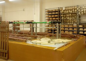 Ragusa, accordo di filiera tra Unicredit e la cooperativa Progetto Natura per facilitare l’accesso al credito