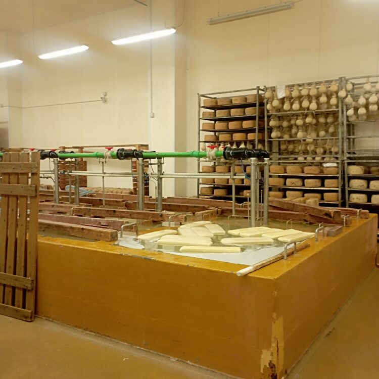 Ragusa, accordo di filiera tra Unicredit e la cooperativa Progetto Natura per facilitare l’accesso al credito