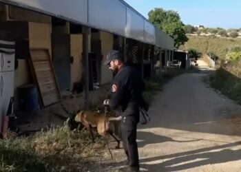 Maxioperazione antidroga tra Pozzallo e Ispica, tredici arresti