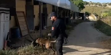 Maxioperazione antidroga tra Pozzallo e Ispica, tredici arresti