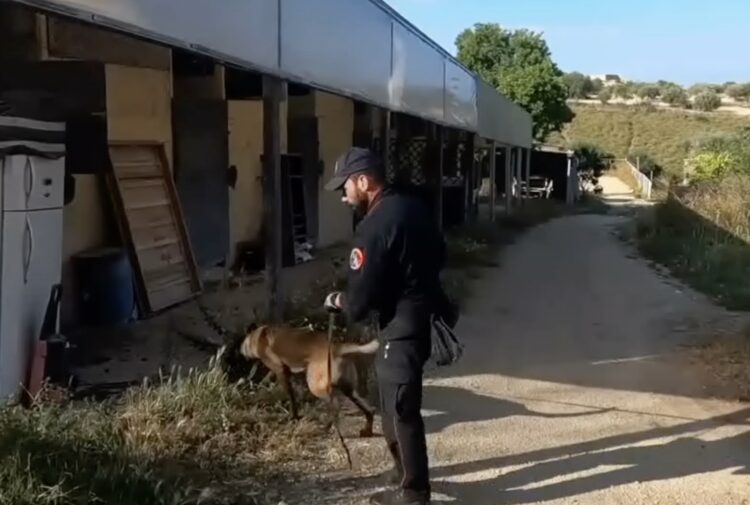 Maxioperazione antidroga tra Pozzallo e Ispica, tredici arresti