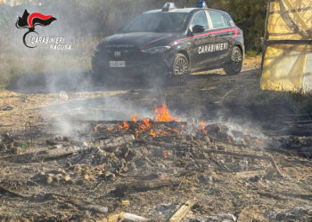Santa Croce, tunisino ubriaco dà fuoco a una serra