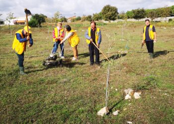 Ragusa e il service Lions “Puliamo la nostra città”
