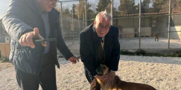 Vittoria, la Regione autorizza il canile di contrada Carosone