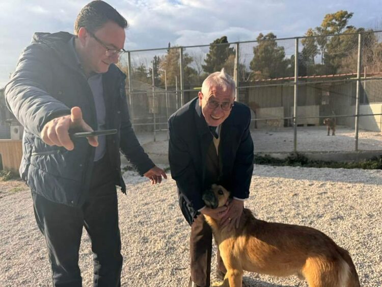 Vittoria, la Regione autorizza il canile di contrada Carosone