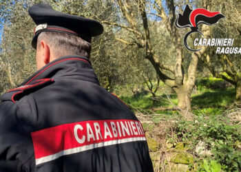 Comiso, asportano olive da un terreno di proprietà del Comune: denunciati coniugi vittoriesi