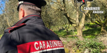 Comiso, asportano olive da un terreno di proprietà del Comune: denunciati coniugi vittoriesi