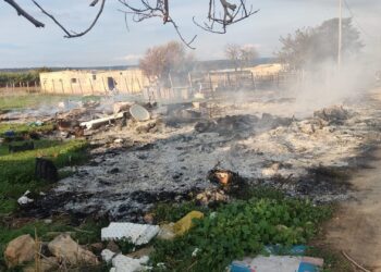 Vasto incendio tra Donnalucata e Playa Grande, devastata area rurale