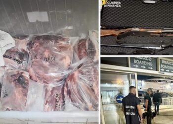 Bracconaggio in provincia di Ragusa, la Cassazione respinge il ricorso di sei cittadini maltesi