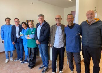 Vittoria, sterilizzati sette cani in una sola giornata: prosegue la lotta contro il randagismo