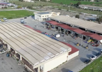 La Forestale sequestra 12 tonnellate di ortaggi non tracciati al mercato ortofrutticolo di Comiso