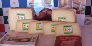 Riparte la campagna di produzione del Ragusano Dop