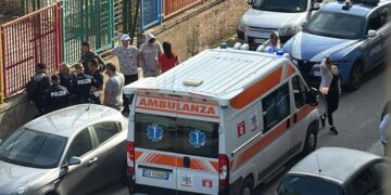 Vittoria, pitbull aggredisce bambina: ricoverata in ospedale