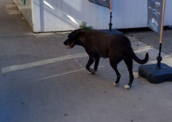Ragusa, episodio movimentato questa mattina in via Mongibello