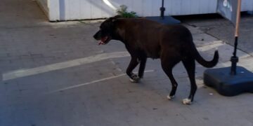 Ragusa, episodio movimentato questa mattina in via Mongibello