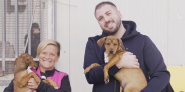 Modica, l’assessore Cannizzaro: “Non comprare un cane, adottalo”
