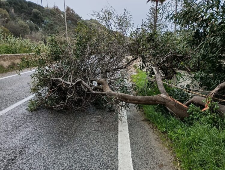 Forte vento, cadono alberi sulla Pozzallo-Santa Maria del Focallo