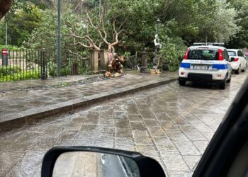 Maltempo a Ragusa, 130 interventi della polizia locale