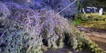 Ragusa, cade il grosso ramo di un albero in viale Europa. Tranciati i fili della luce: un’intera zona è al buio